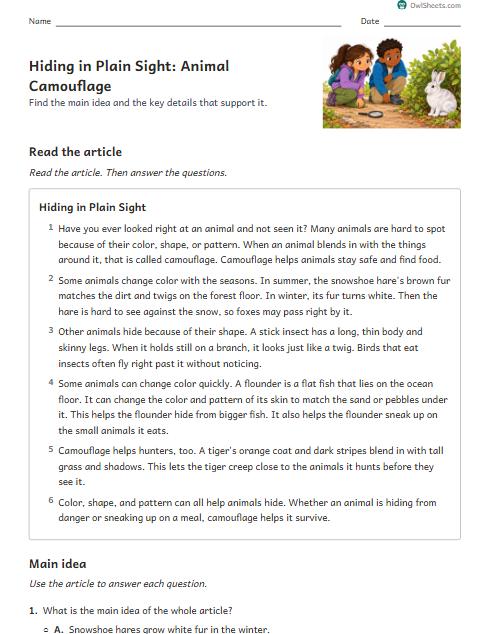 Hiding in Plain Sight: Animal Camouflage worksheet preview