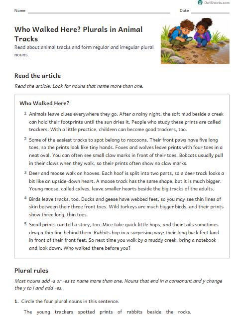 Who Walked Here? Plurals in Animal Tracks worksheet preview