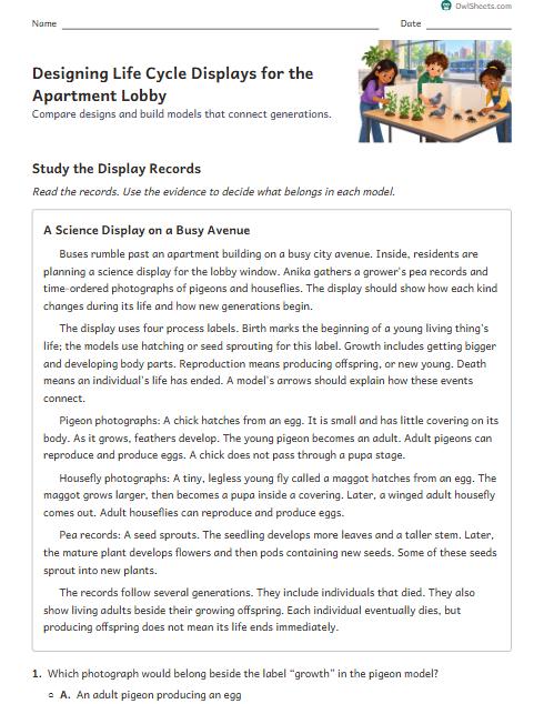 Designing Life Cycle Displays for the Apartment Lobby worksheet preview