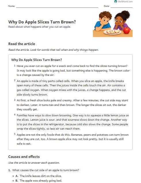 Why Do Apple Slices Turn Brown? worksheet preview