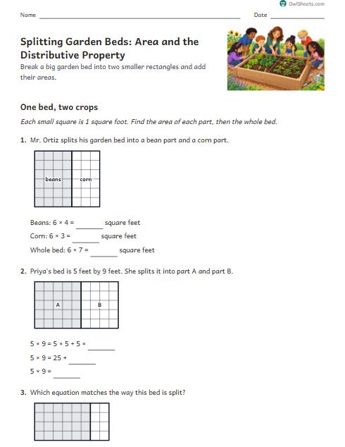 Splitting Garden Beds: Area and the Distributive Property worksheet preview