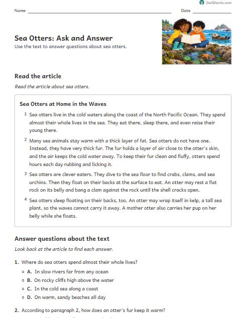 Sea Otters: Ask and Answer worksheet preview