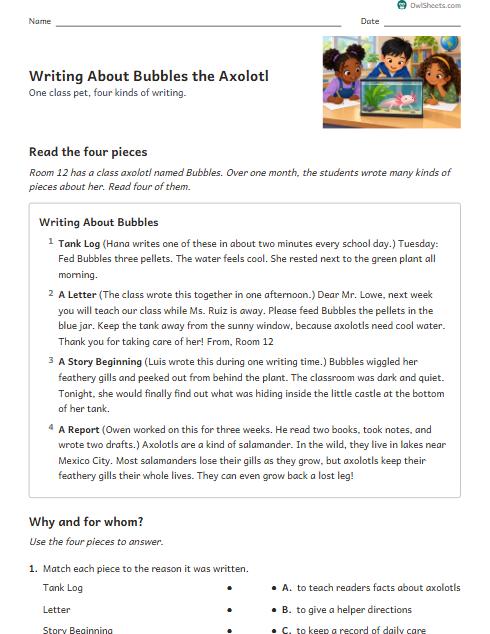 Writing About Bubbles the Axolotl worksheet preview
