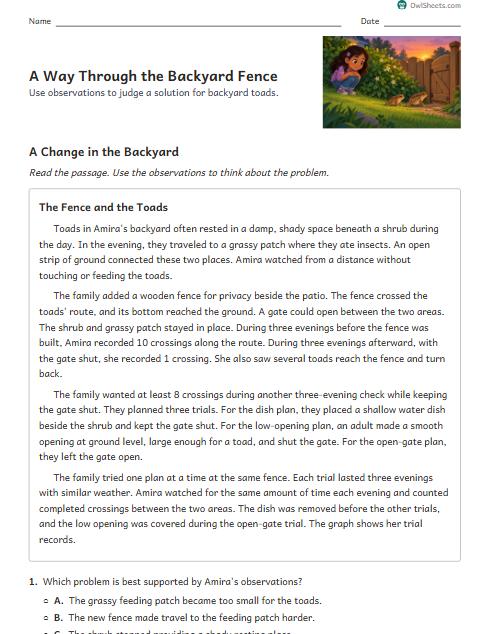 A Way Through the Backyard Fence worksheet preview