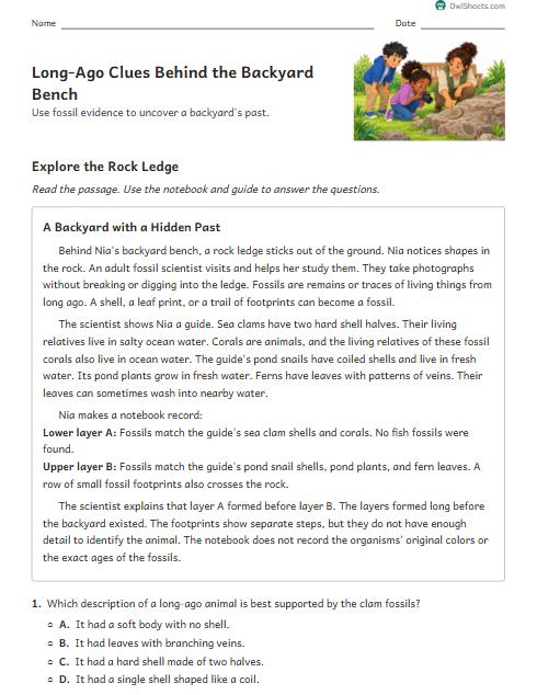 Long-Ago Clues Behind the Backyard Bench worksheet preview