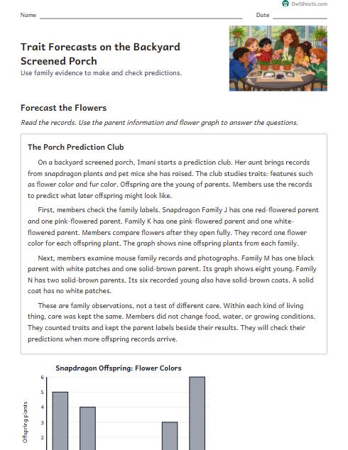 Trait Forecasts on the Backyard Screened Porch worksheet preview