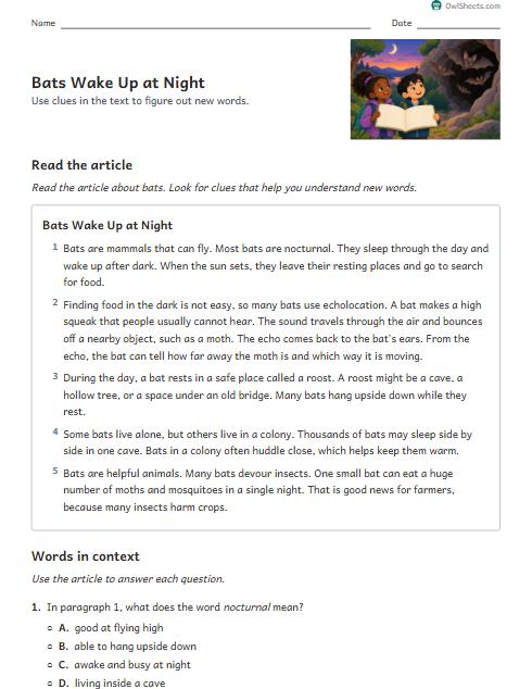 Bats Wake Up at Night worksheet preview
