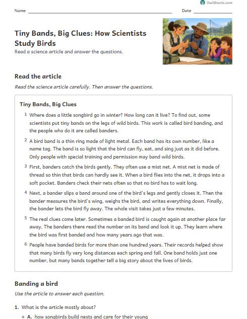 Tiny Bands, Big Clues: How Scientists Study Birds worksheet preview