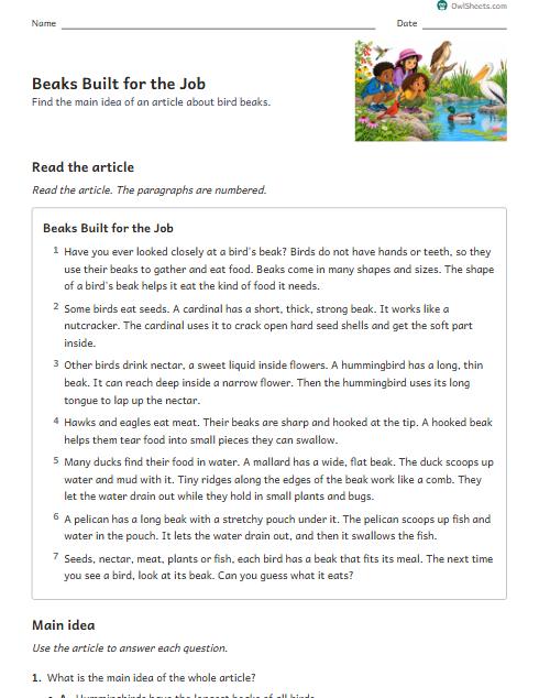 Beaks Built for the Job worksheet preview