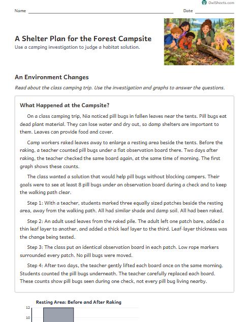 A Shelter Plan for the Forest Campsite worksheet preview