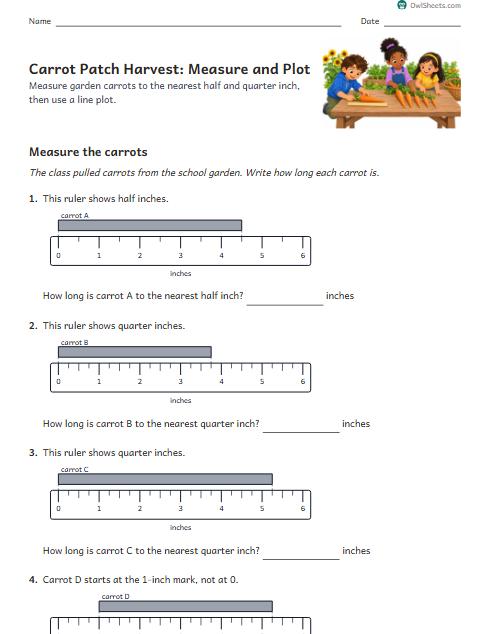 Carrot Patch Harvest: Measure and Plot worksheet preview