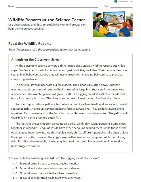 Wildlife Reports at the Science Corner worksheet preview