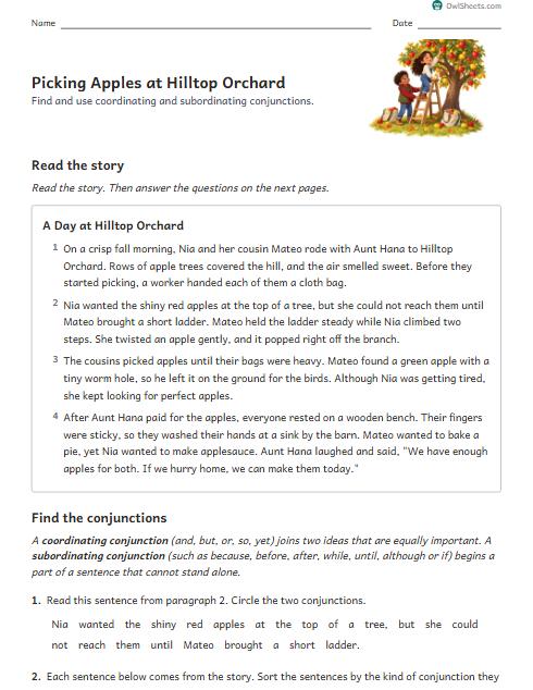Picking Apples at Hilltop Orchard worksheet preview