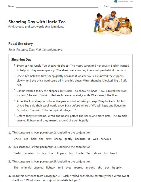 Shearing Day with Uncle Teo worksheet preview