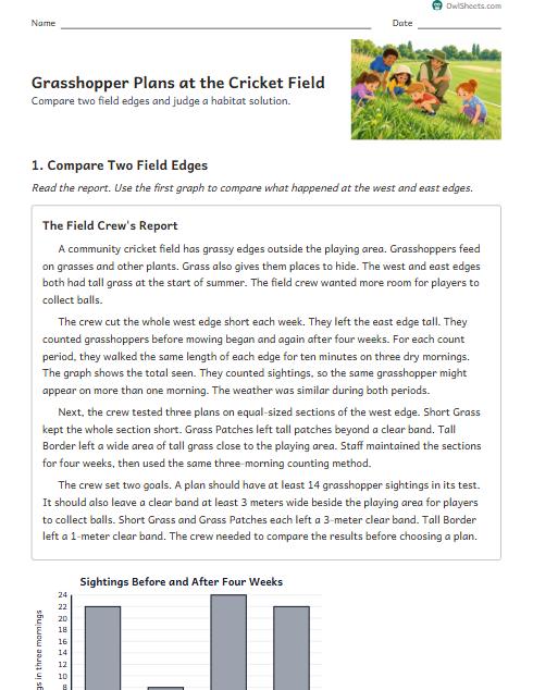 Grasshopper Plans at the Cricket Field worksheet preview