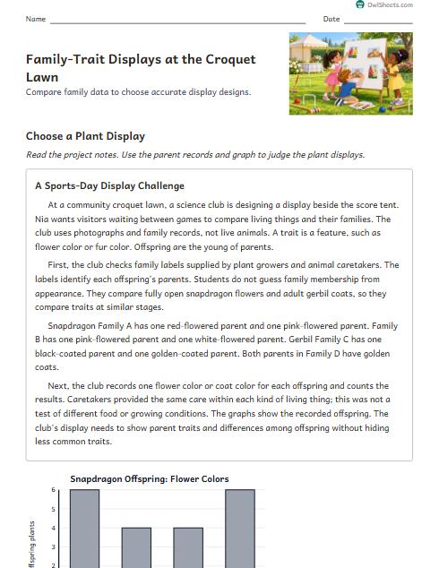 Family-Trait Displays at the Croquet Lawn worksheet preview