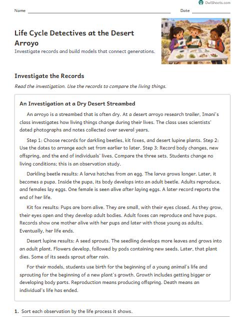 Life Cycle Detectives at the Desert Arroyo worksheet preview