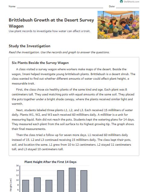Brittlebush Growth at the Desert Survey Wagon worksheet preview