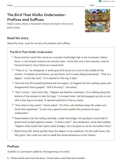The Bird That Walks Underwater: Prefixes and Suffixes worksheet preview