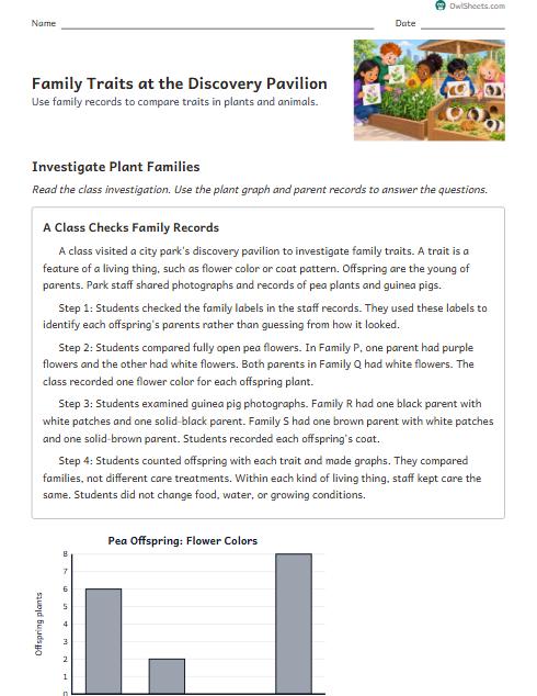 Family Traits at the Discovery Pavilion worksheet preview