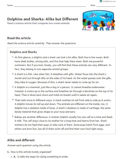 Dolphins and Sharks: Alike but Different worksheet preview
