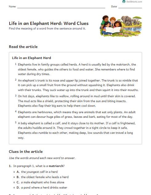 Life in an Elephant Herd: Word Clues worksheet preview