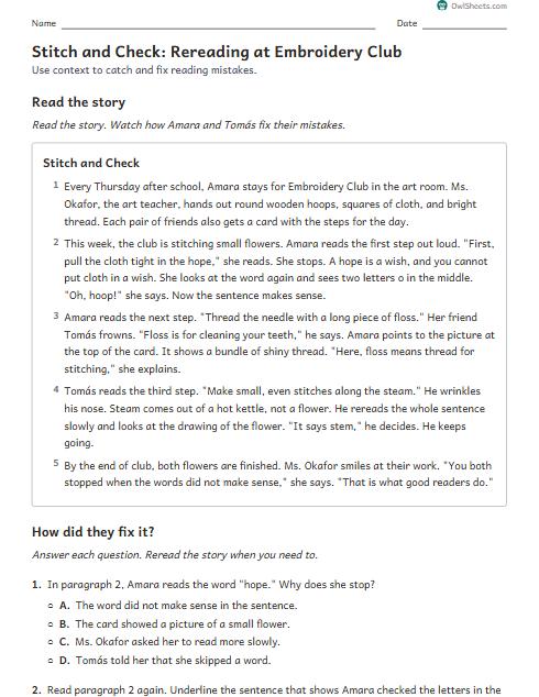Stitch and Check: Rereading at Embroidery Club worksheet preview