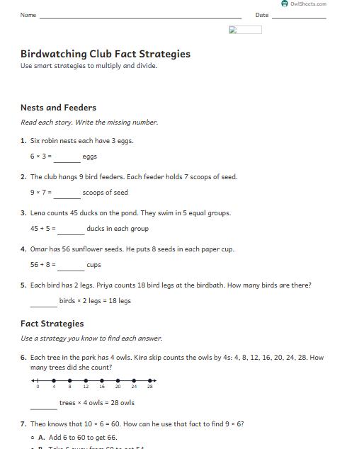 Birdwatching Club Fact Strategies worksheet preview