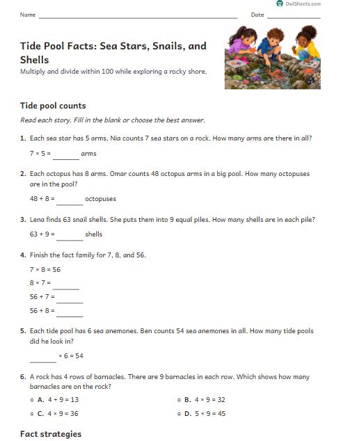 Tide Pool Facts: Sea Stars, Snails, and Shells worksheet preview