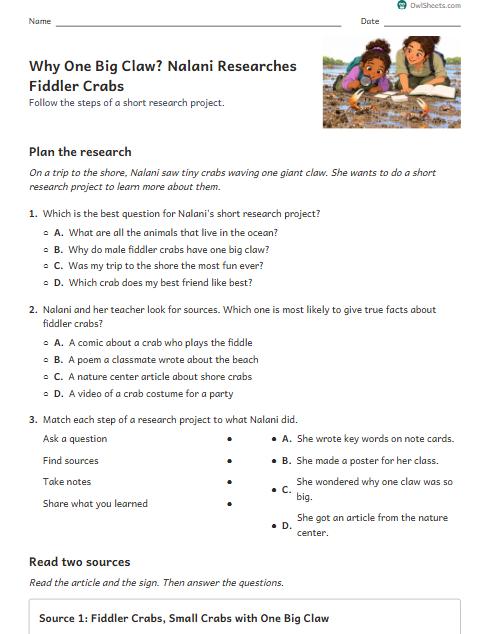 Why One Big Claw? Nalani Researches Fiddler Crabs worksheet preview