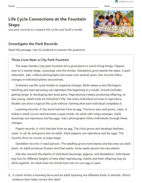 Life Cycle Connections at the Fountain Steps worksheet preview