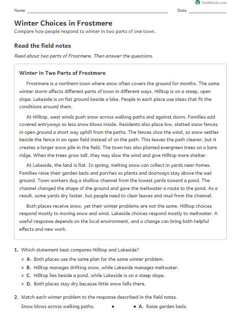 Winter Choices in Frostmere worksheet preview