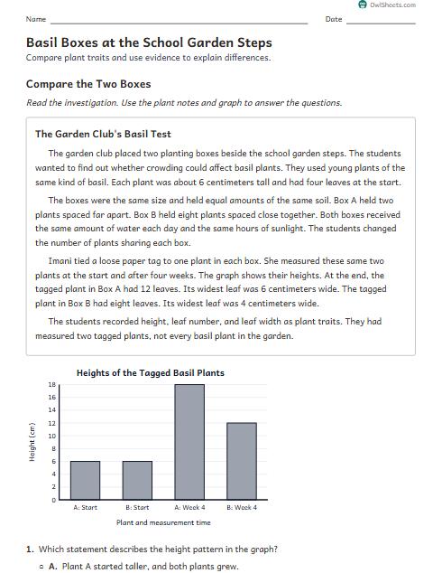 Basil Boxes at the School Garden Steps worksheet preview