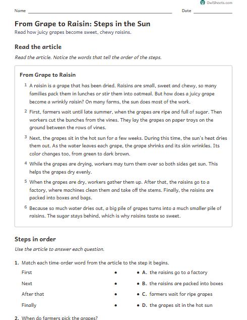 From Grape to Raisin: Steps in the Sun worksheet preview