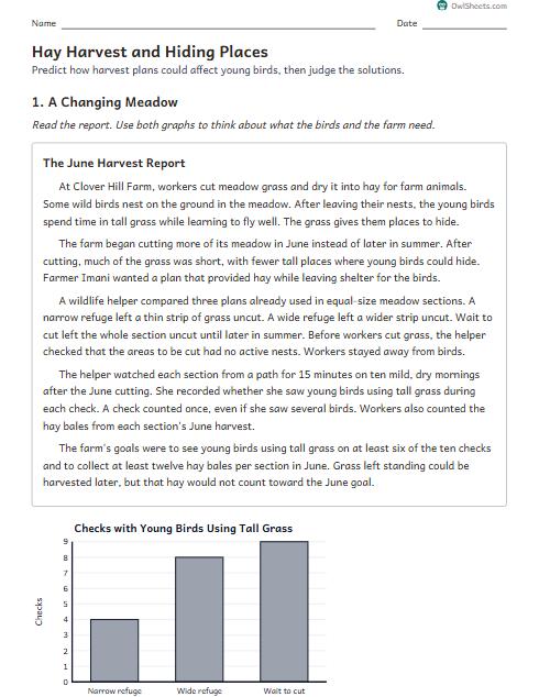 Hay Harvest and Hiding Places worksheet preview
