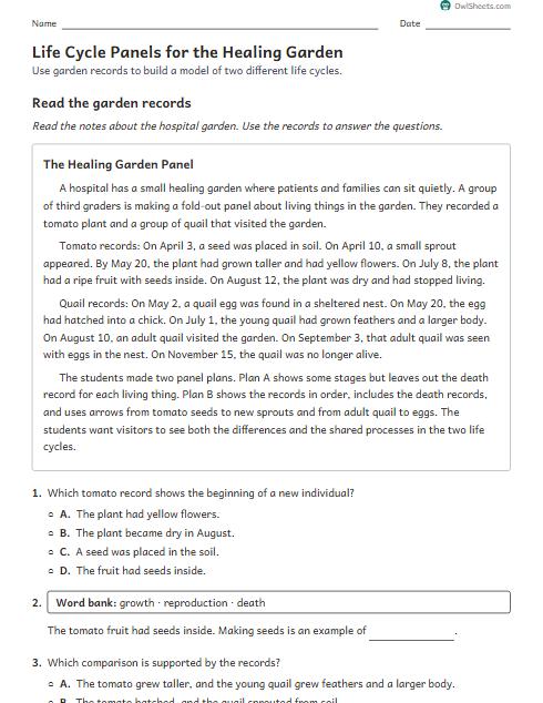 Life Cycle Panels for the Healing Garden worksheet preview