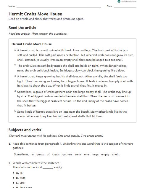 Hermit Crabs Move House worksheet preview