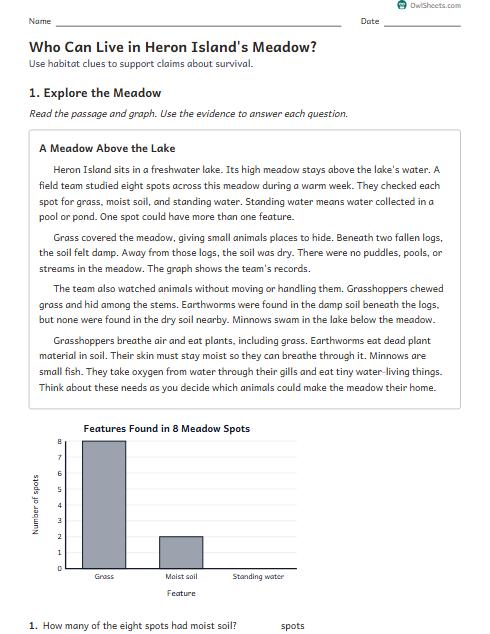 Who Can Live in Heron Island's Meadow? worksheet preview