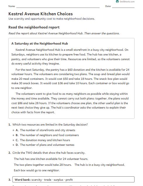 Kestrel Avenue Kitchen Choices worksheet preview
