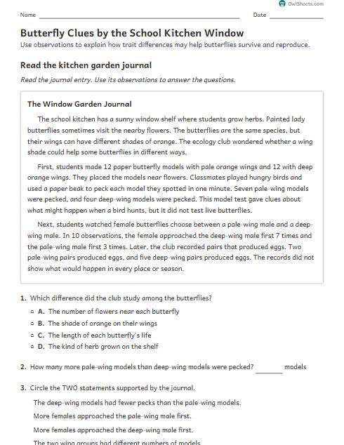 Butterfly Clues by the School Kitchen Window worksheet preview
