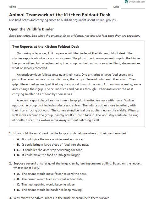 Animal Teamwork at the Kitchen Foldout Desk worksheet preview