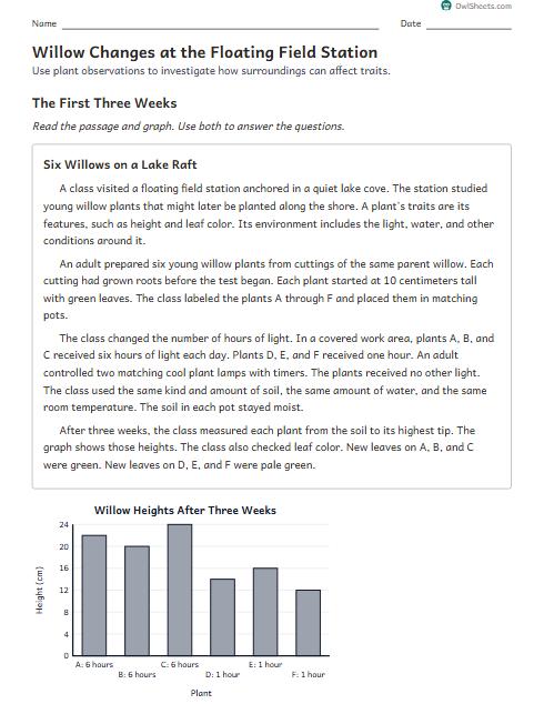 Willow Changes at the Floating Field Station worksheet preview