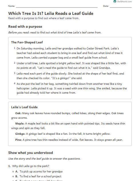 Which Tree Is It? Leila Reads a Leaf Guide worksheet preview