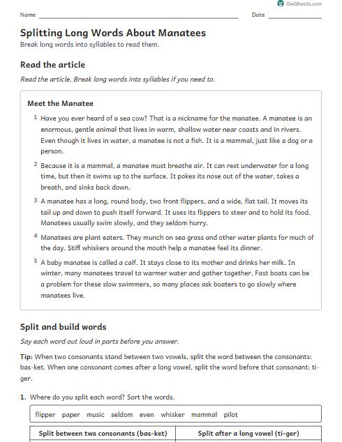 Splitting Long Words About Manatees worksheet preview