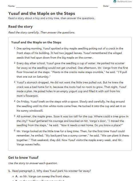 Yusuf and the Maple on the Steps worksheet preview