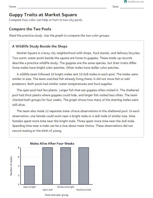 Guppy Traits at Market Square worksheet preview