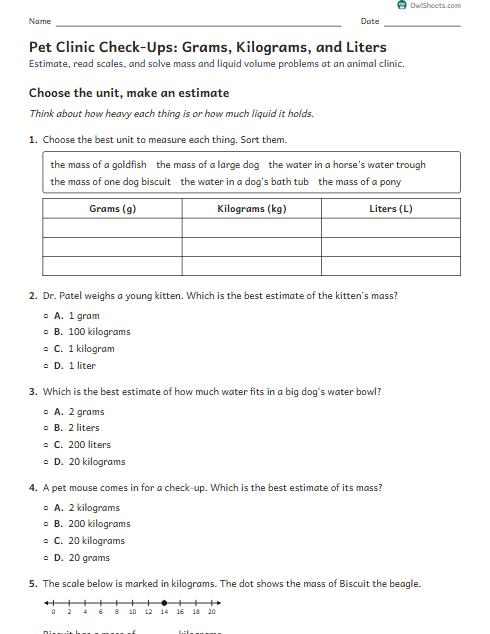 Pet Clinic Check-Ups: Grams, Kilograms, and Liters worksheet preview