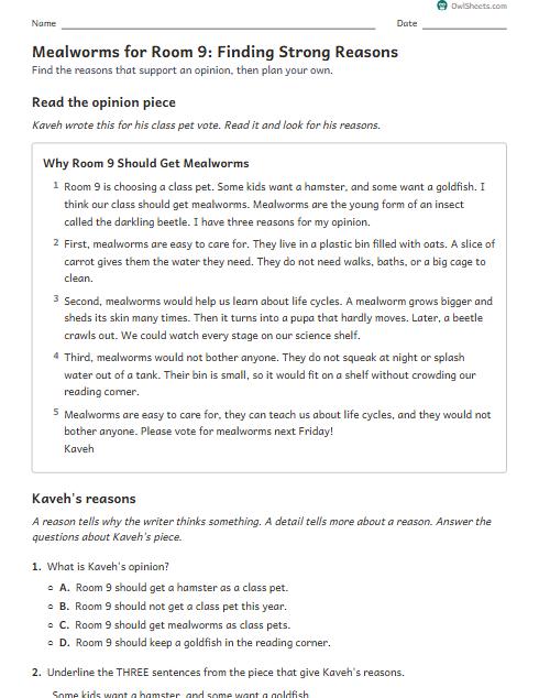 Mealworms for Room 9: Finding Strong Reasons worksheet preview