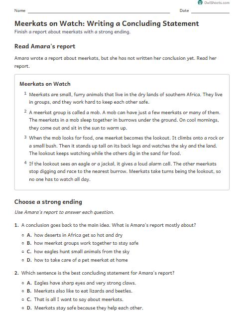 Meerkats on Watch: Writing a Concluding Statement worksheet preview