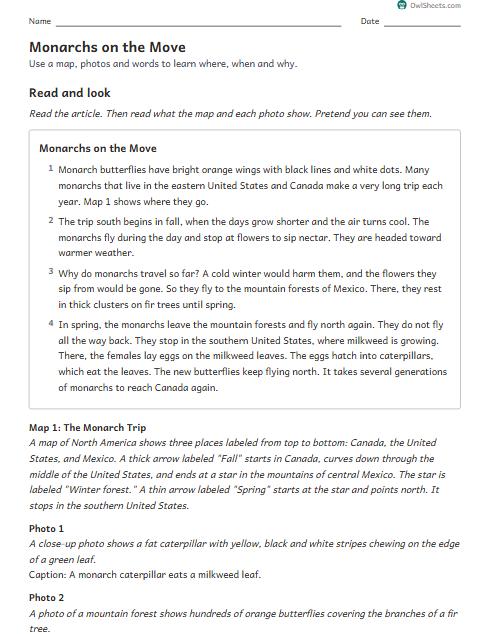 Monarchs on the Move worksheet preview